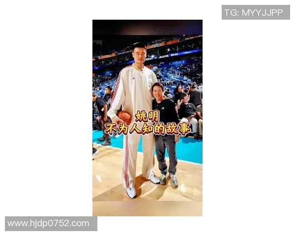 姚明何平平的篮球传奇与人生哲学探索之旅