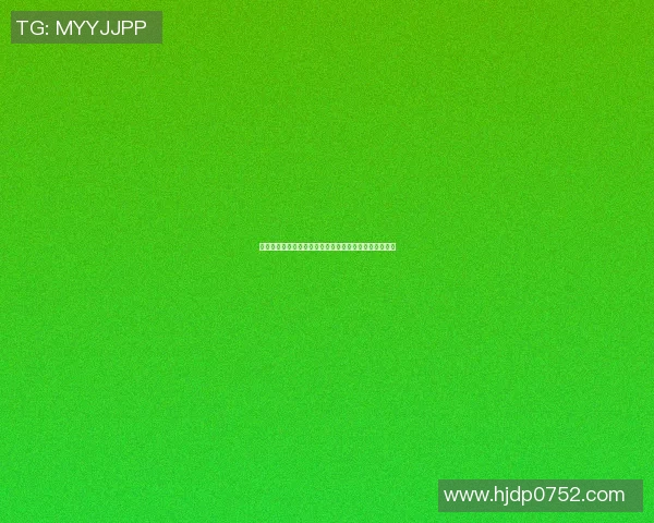 全明星篮球西乡盛典精彩纷呈球迷热情高涨共庆篮球盛事