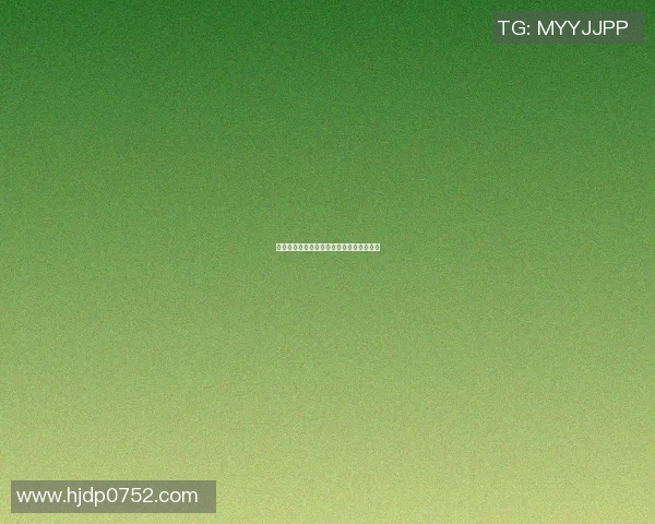篮球明星在俄罗斯的辉煌历程与影响力探讨